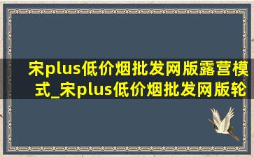 宋plus(低价烟批发网)版露营模式_宋plus(低价烟批发网)版轮胎