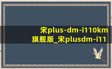 宋plus-dm-i110km旗舰版_宋plusdm-i110km旗舰版什么配置