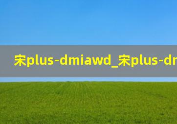 宋plus-dmiawd_宋plus-dmiawd5g版