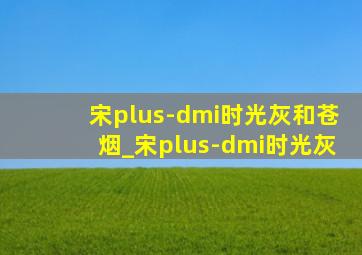 宋plus-dmi时光灰和苍烟_宋plus-dmi时光灰