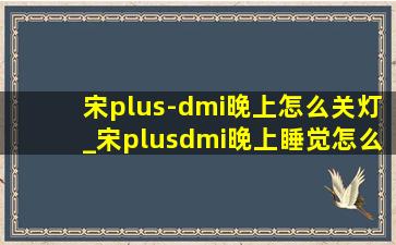 宋plus-dmi晚上怎么关灯_宋plusdmi晚上睡觉怎么关灯