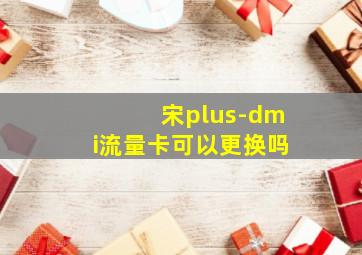 宋plus-dmi流量卡可以更换吗