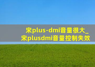 宋plus-dmi音量很大_宋plusdmi音量控制失效