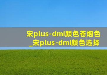 宋plus-dmi颜色苍烟色_宋plus-dmi颜色选择