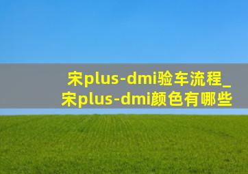 宋plus-dmi验车流程_宋plus-dmi颜色有哪些