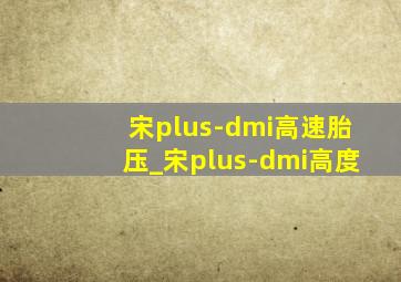 宋plus-dmi高速胎压_宋plus-dmi高度