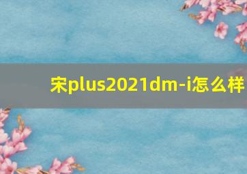 宋plus2021dm-i怎么样