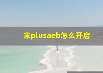 宋plusaeb怎么开启