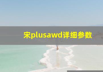 宋plusawd详细参数