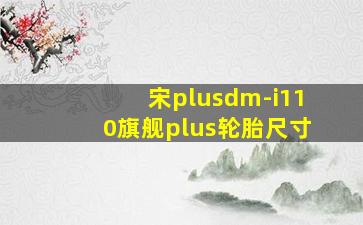 宋plusdm-i110旗舰plus轮胎尺寸