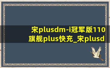 宋plusdm-i冠军版110旗舰plus快充_宋plusdmi冠军110旗舰快充接口