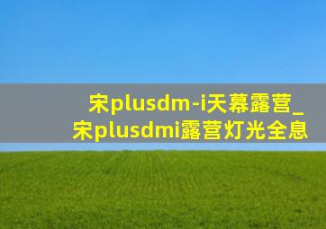 宋plusdm-i天幕露营_宋plusdmi露营灯光全息