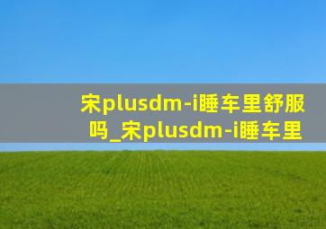 宋plusdm-i睡车里舒服吗_宋plusdm-i睡车里