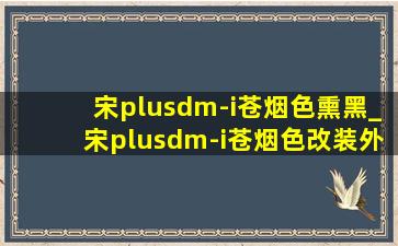 宋plusdm-i苍烟色熏黑_宋plusdm-i苍烟色改装外观方案