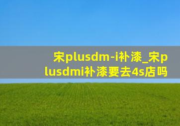 宋plusdm-i补漆_宋plusdmi补漆要去4s店吗