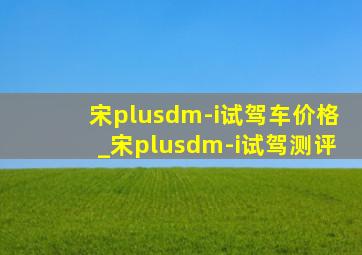 宋plusdm-i试驾车价格_宋plusdm-i试驾测评