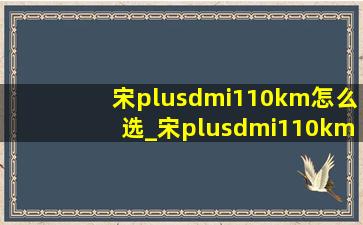 宋plusdmi110km怎么选_宋plusdmi110km如何选