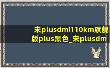 宋plusdmi110km旗舰版plus黑色_宋plusdmi110km旗舰版plus