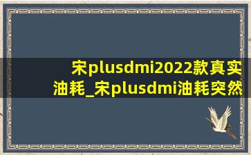 宋plusdmi2022款真实油耗_宋plusdmi油耗突然升高的原因