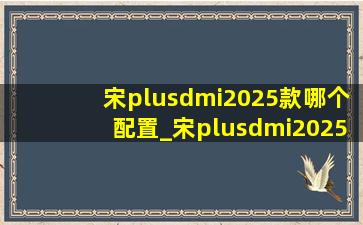 宋plusdmi2025款哪个配置_宋plusdmi2025款哪个配置最划算