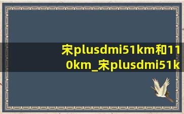 宋plusdmi51km和110km_宋plusdmi51km和110km有什么区别