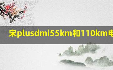 宋plusdmi55km和110km电池寿命