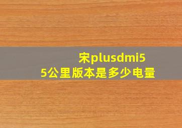 宋plusdmi55公里版本是多少电量