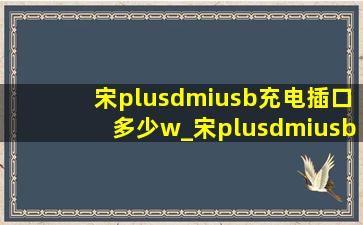 宋plusdmiusb充电插口多少w_宋plusdmiusb口充电功率