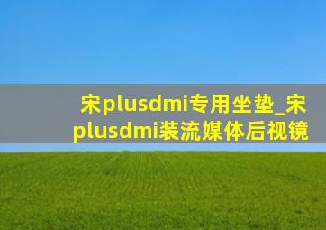 宋plusdmi专用坐垫_宋plusdmi装流媒体后视镜