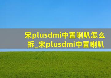 宋plusdmi中置喇叭怎么拆_宋plusdmi中置喇叭