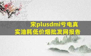 宋plusdmi亏电真实油耗(低价烟批发网)报告