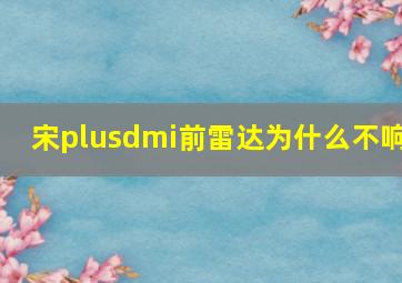 宋plusdmi前雷达为什么不响