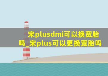 宋plusdmi可以换宽胎吗_宋plus可以更换宽胎吗