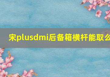 宋plusdmi后备箱横杆能取么