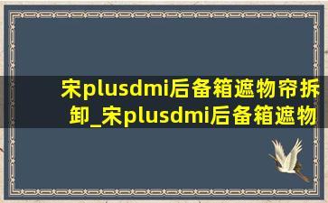 宋plusdmi后备箱遮物帘拆卸_宋plusdmi后备箱遮物帘拆下来放哪