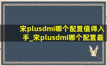 宋plusdmi哪个配置值得入手_宋plusdmi哪个配置最值得入手