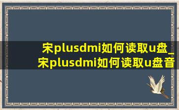 宋plusdmi如何读取u盘_宋plusdmi如何读取u盘音乐