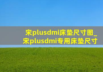 宋plusdmi床垫尺寸图_宋plusdmi专用床垫尺寸