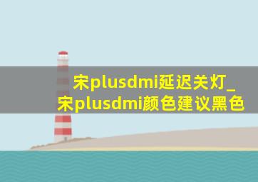 宋plusdmi延迟关灯_宋plusdmi颜色建议黑色