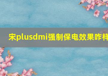 宋plusdmi强制保电效果咋样