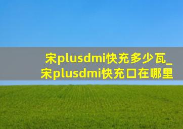 宋plusdmi快充多少瓦_宋plusdmi快充口在哪里