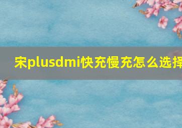 宋plusdmi快充慢充怎么选择