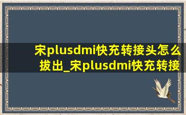 宋plusdmi快充转接头怎么拔出_宋plusdmi快充转接头怎么用