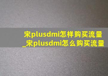 宋plusdmi怎样购买流量_宋plusdmi怎么购买流量