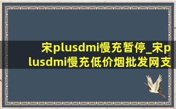 宋plusdmi慢充暂停_宋plusdmi慢充(低价烟批发网)支持多少千瓦