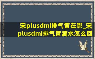 宋plusdmi排气管在哪_宋plusdmi排气管滴水怎么回事