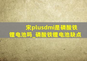 宋plusdmi是磷酸铁锂电池吗_磷酸铁锂电池缺点