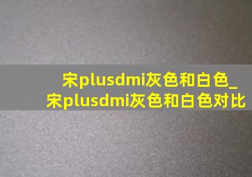 宋plusdmi灰色和白色_宋plusdmi灰色和白色对比