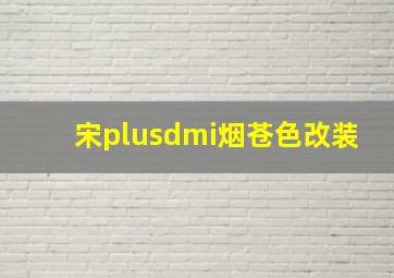 宋plusdmi烟苍色改装