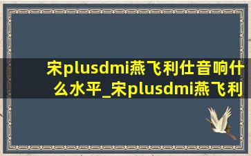 宋plusdmi燕飞利仕音响什么水平_宋plusdmi燕飞利仕音响